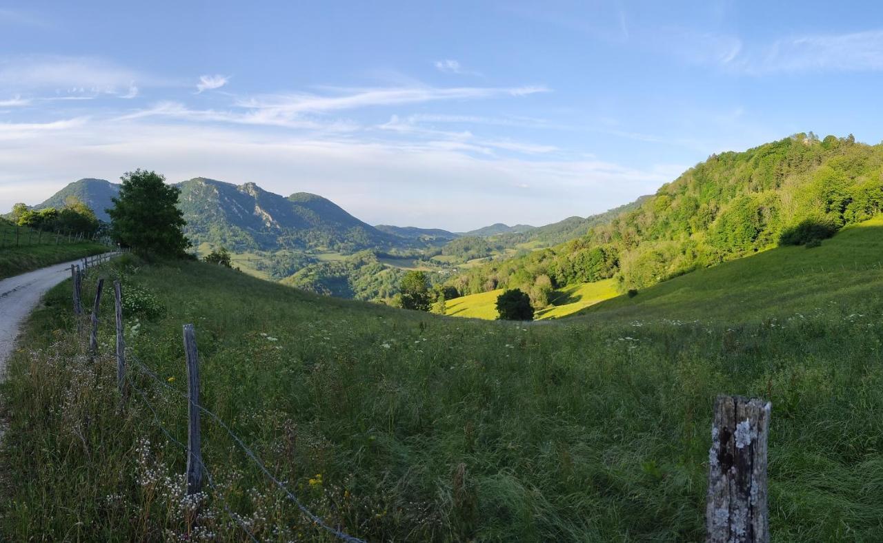 Appartement L'aristoloche *
