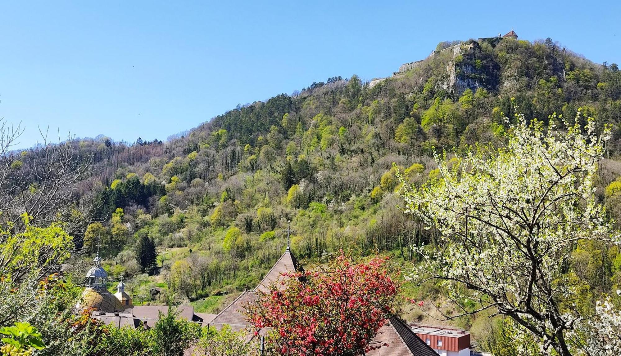 Apartment L'aristoloche