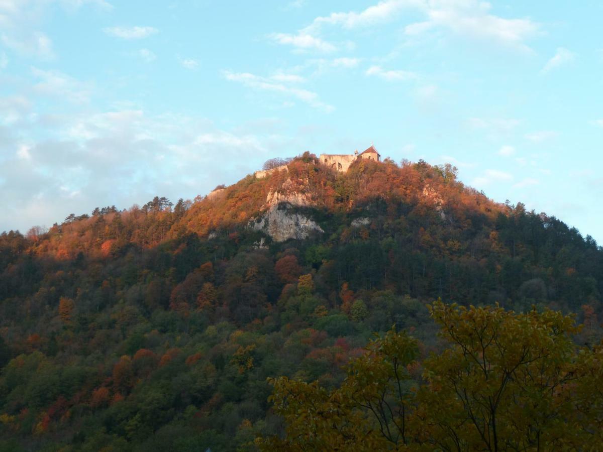 L'aristoloche