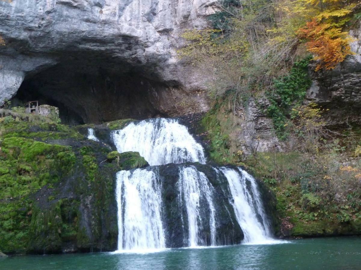 L'aristoloche Salins-les-Bains